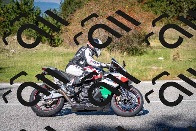 202510041237-DSC_7793_c2