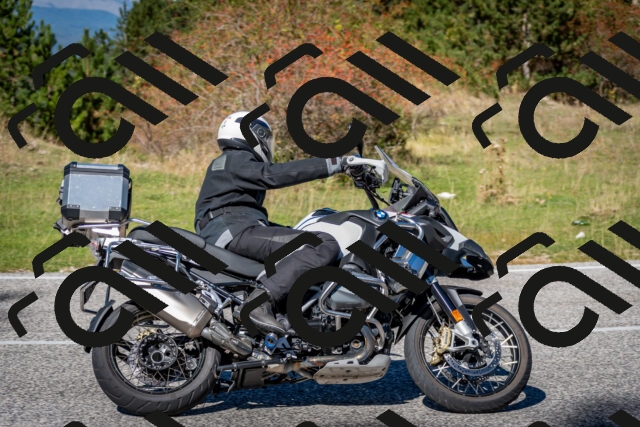 202510041241-DSC_7795_c2