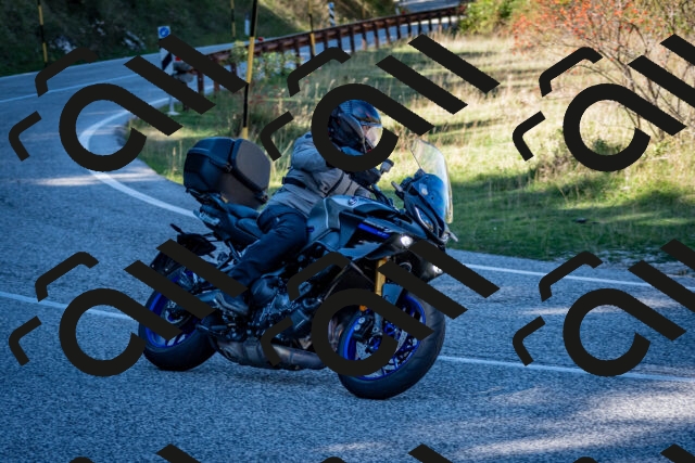 202510041241-DSC_7796_c2