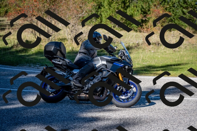 202510041241-DSC_7797_c2