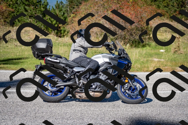 202510041241-DSC_7798_c2