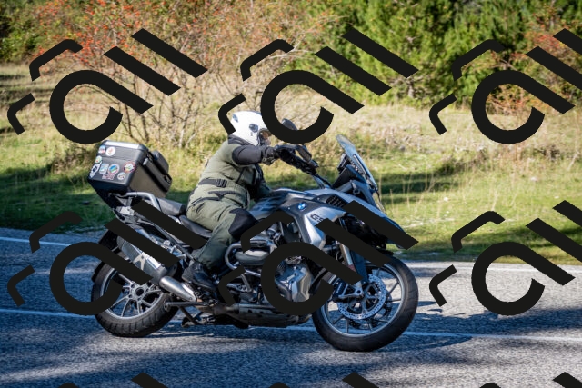 202510041241-DSC_7799_c2