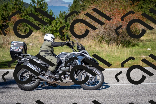 202510041241-DSC_7800_c2