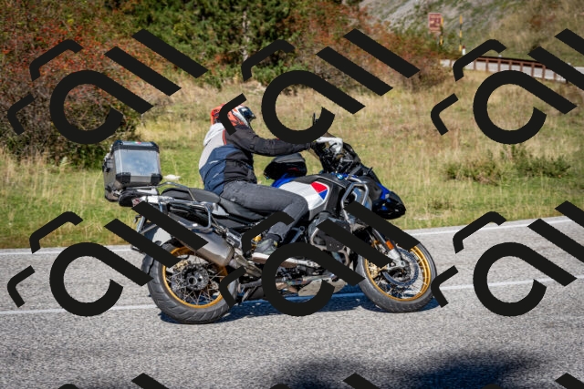 202510041241-DSC_7803_c2