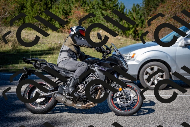 202510041242-DSC_7805_c2