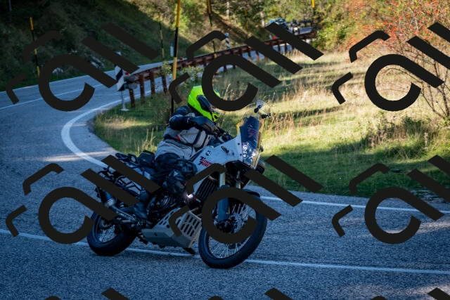 202510041242-DSC_7806_c2