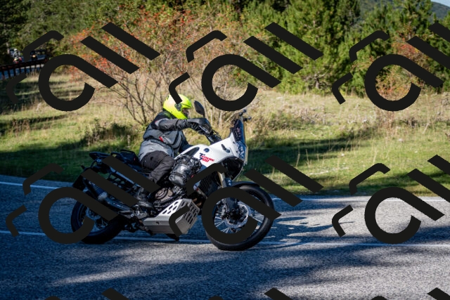 202510041242-DSC_7807_c2