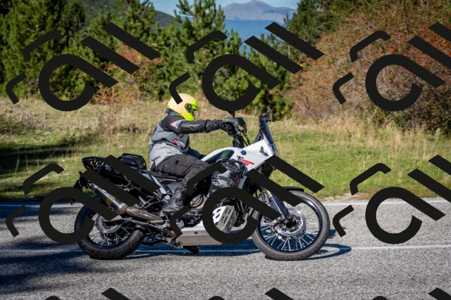 202510041242-DSC_7808_c2