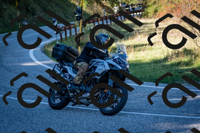 202510041242-DSC_7809_c2