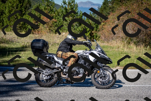 202510041242-DSC_7811_c2