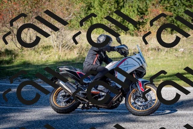 202510041242-DSC_7812_c2