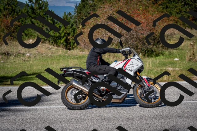 202510041242-DSC_7813_c2