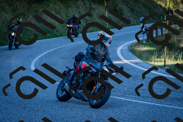 202510041242-DSC_7815_c2