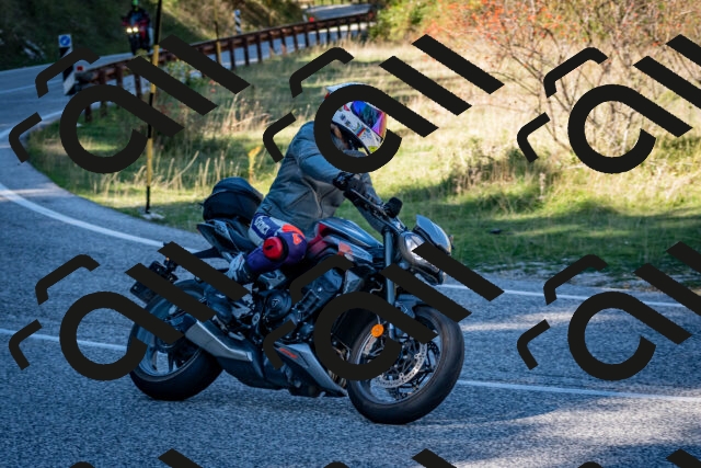 202510041242-DSC_7816_c2