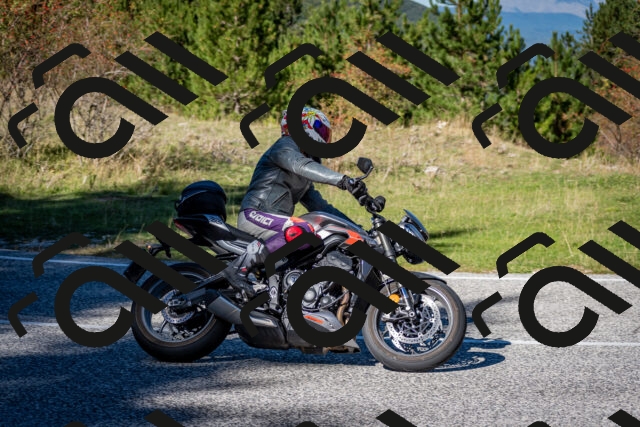 202510041242-DSC_7817_c2