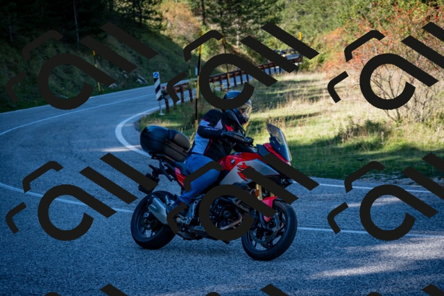 202510041243-DSC_7821_c2