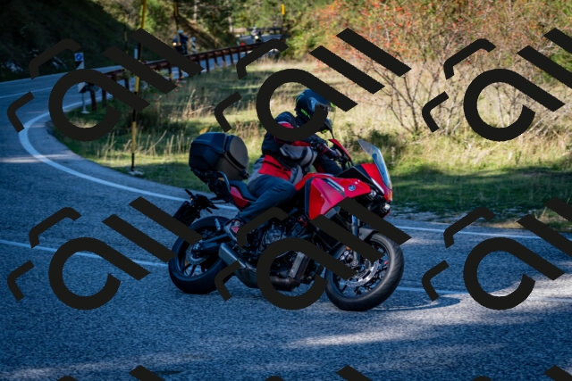 202510041243-DSC_7824_c2