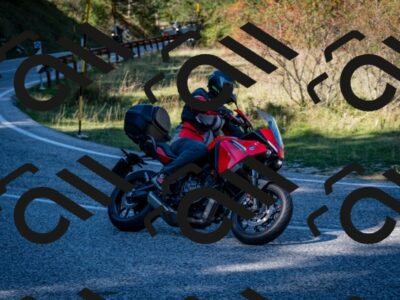 202510041243-DSC_7824_c2