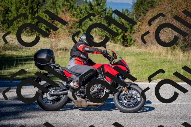 202510041243-DSC_7825_c2