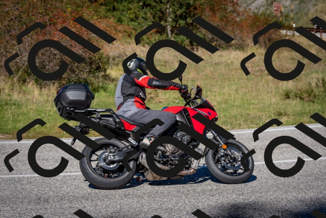 202510041243-DSC_7826_c2