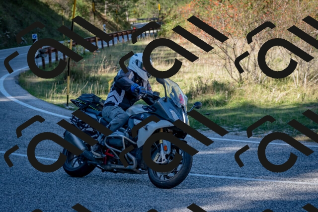 202510041243-DSC_7830_c2