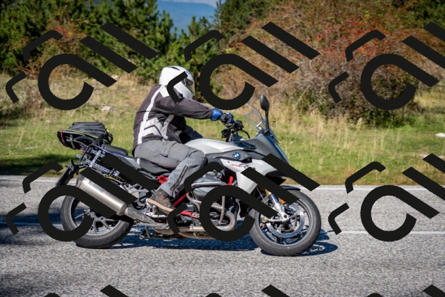 202510041243-DSC_7832_c2