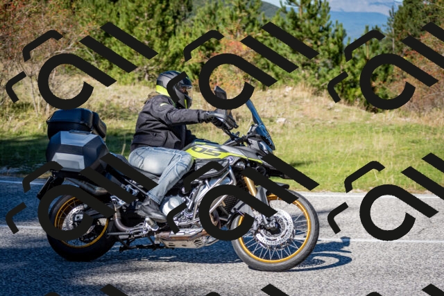 202510041243-DSC_7834_c2