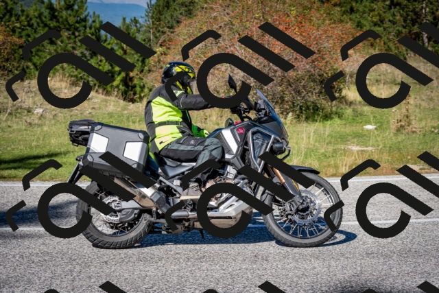 202510041243-DSC_7837_c2