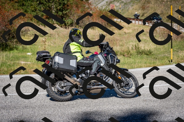 202510041243-DSC_7838_c2