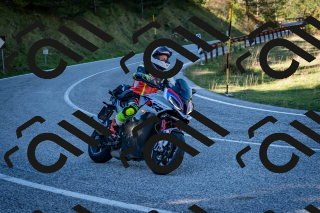 202510041244-DSC_7842_c2