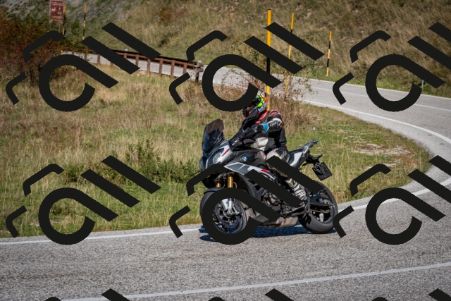 202510041245-DSC_7851_c2