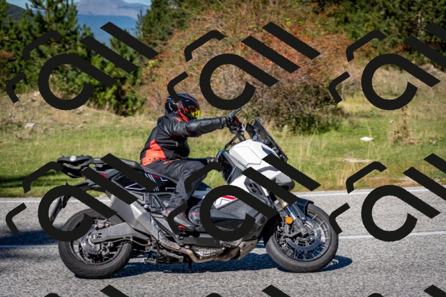 202510041245-DSC_7857_c2