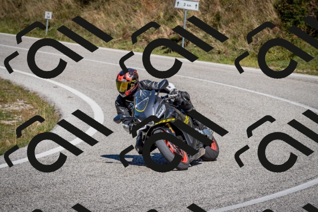 202510041247-DSC_7858_c2