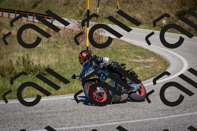 202510041247-DSC_7859_c2