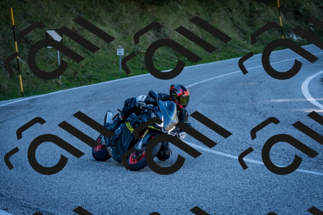 202510041248-DSC_7861_c2