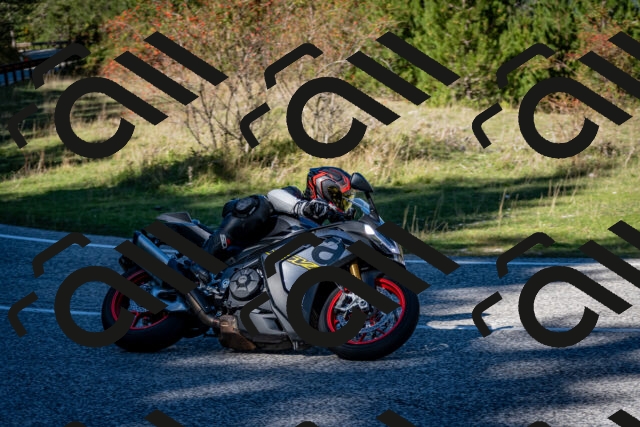 202510041248-DSC_7862_c2