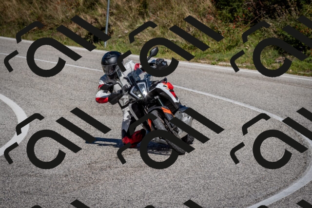 202510041249-DSC_7866_c2