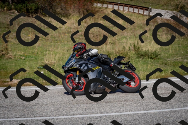 202510041249-DSC_7869_c2