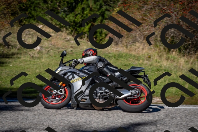 202510041249-DSC_7870_c2