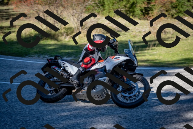 202510041249-DSC_7872_c2