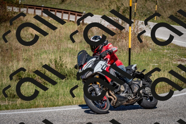 202510041250-DSC_7876_c2