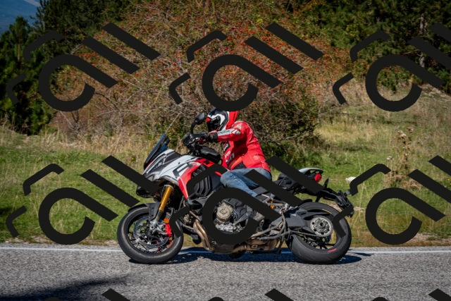 202510041250-DSC_7877_c2