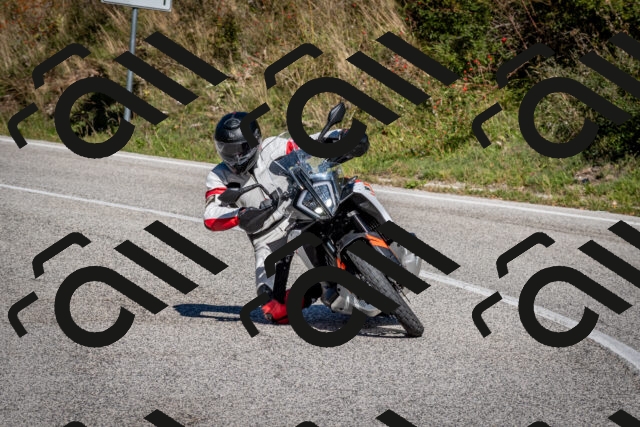 202510041250-DSC_7878_c2