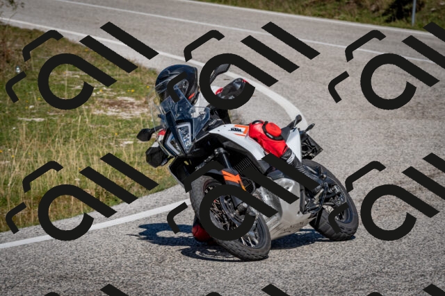 202510041250-DSC_7879_c2