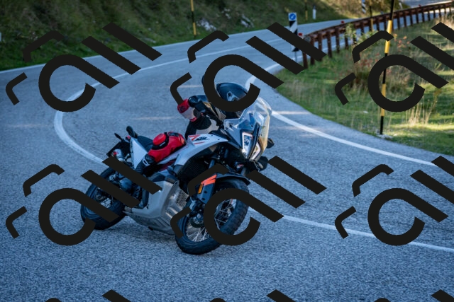 202510041251-DSC_7881_c2