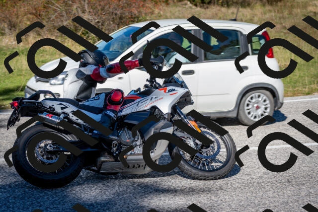 202510041251-DSC_7882_c2