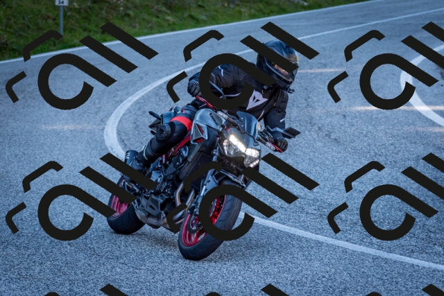 202510041251-DSC_7883_c2