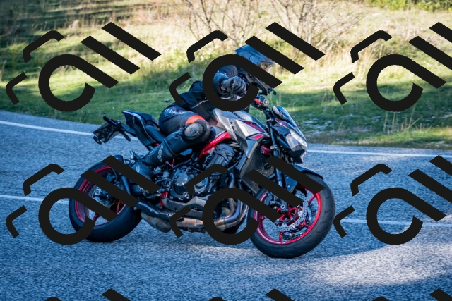 202510041251-DSC_7884_c2