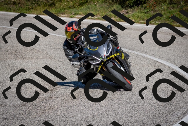 202510041251-DSC_7886_c2