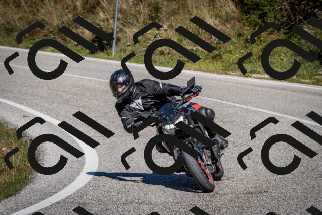 202510041252-DSC_7890_c2